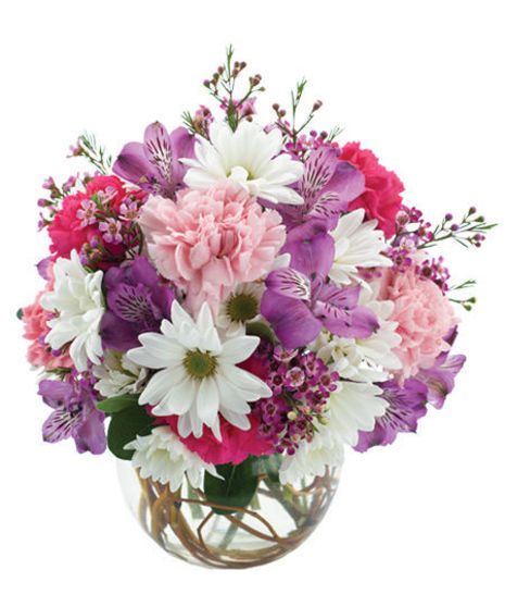 Welcome Spring
