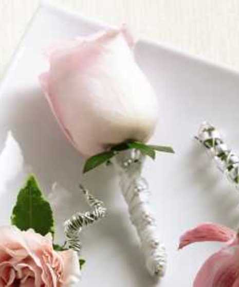 Pink Rose Bout
