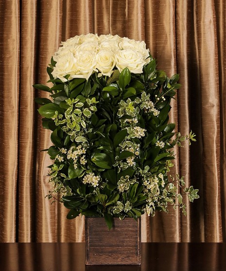 White Rose Hedge