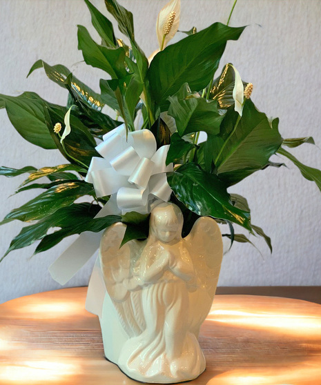Angel with Peace Lily