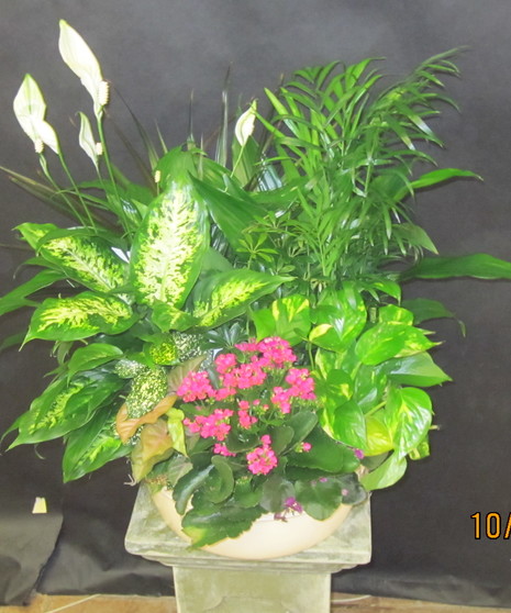 Assorted green and blooming plants presented in a large basket.