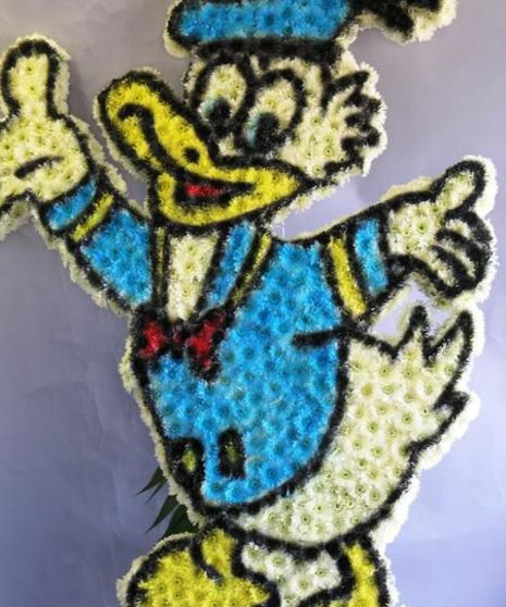 DONALD DUCK