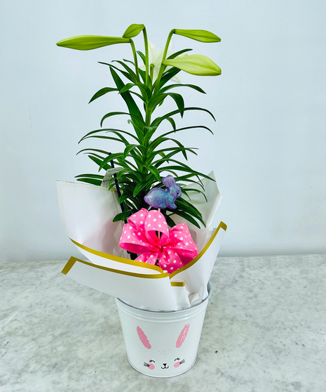 Easter Lily Bunny Pot