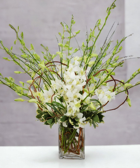 Dendrobium Orchid Bouquet